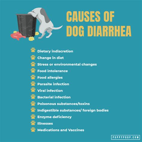 dog uncontrollable diarrhea|explosive diarrhea in dogs causes.